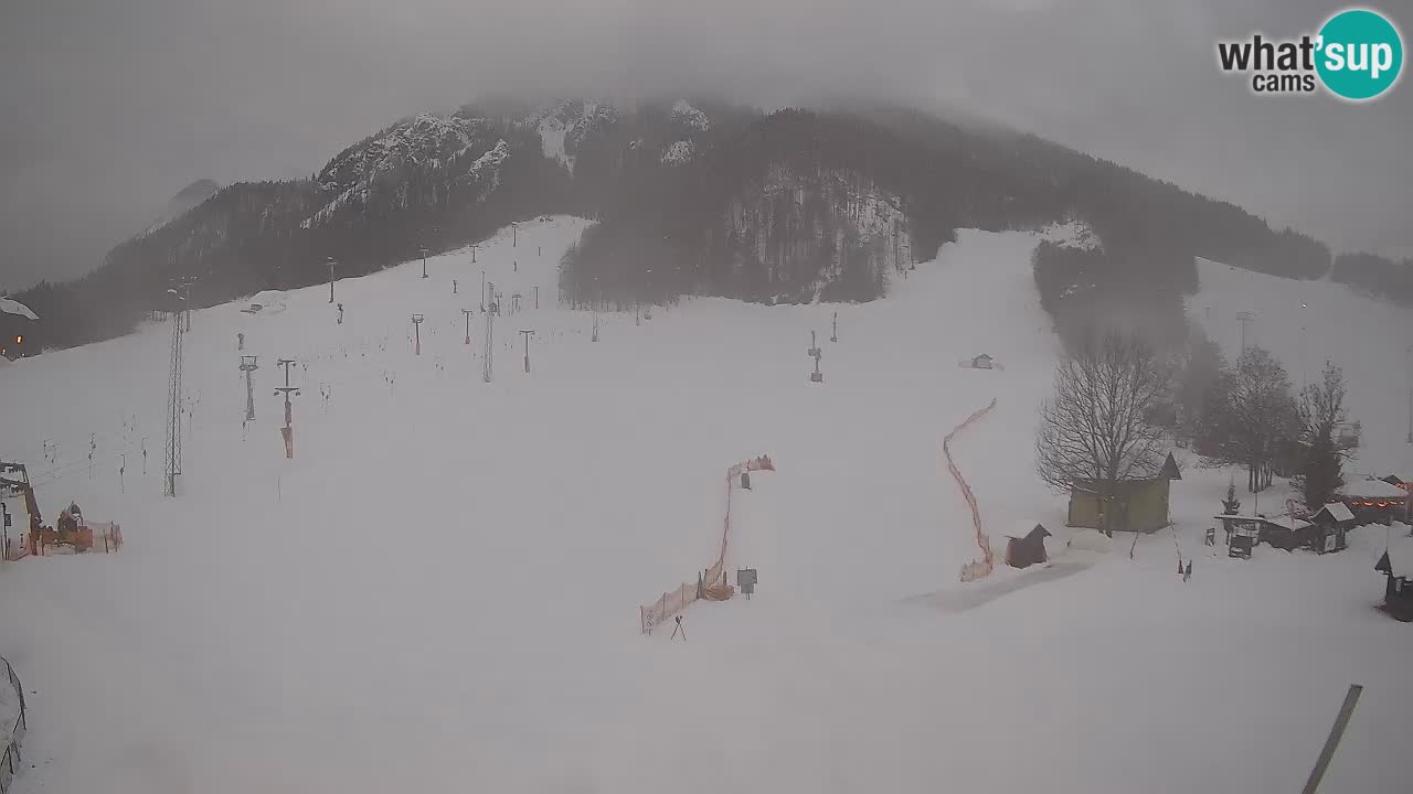 Kranjska Gora SKI area | Mojca – Rožle – Kekec ski sloap