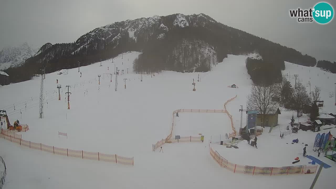 Kranjska Gora Slovénie webcam | Ski Mojca – Rožle – Kekec