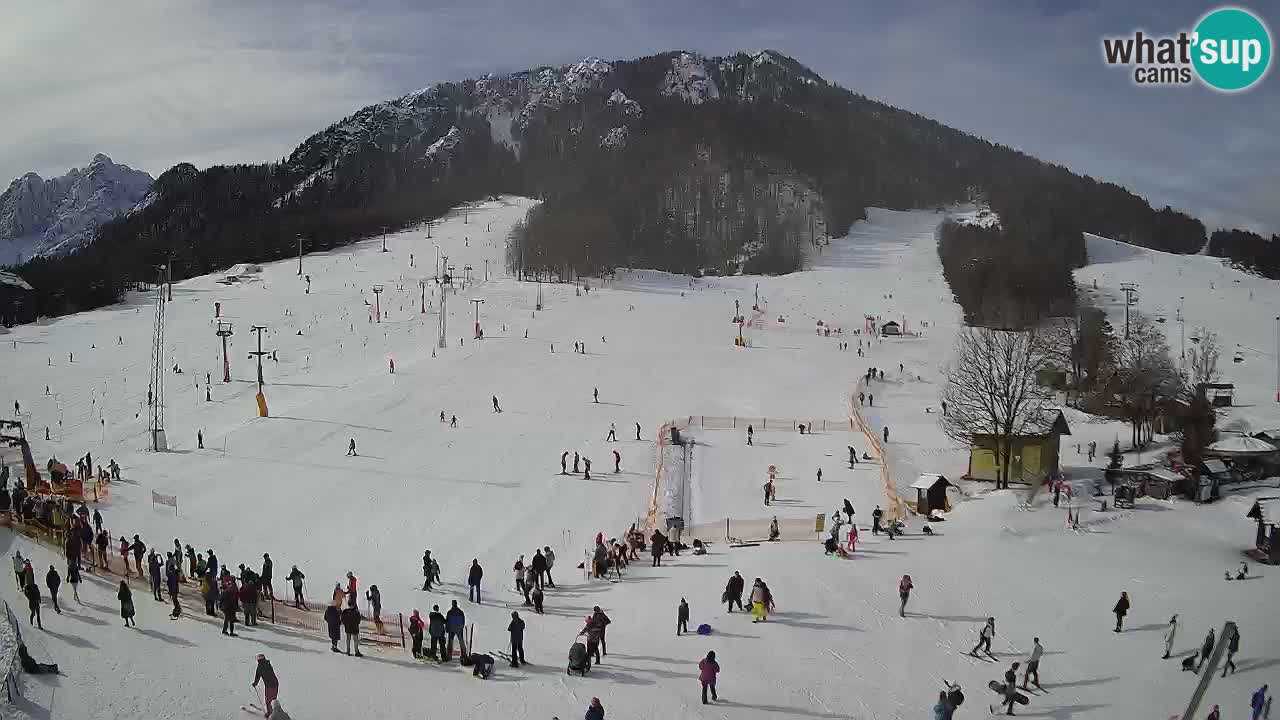 Kamera Kranjska Gora | Smučarska proga Kekec – Mojca – Rožle