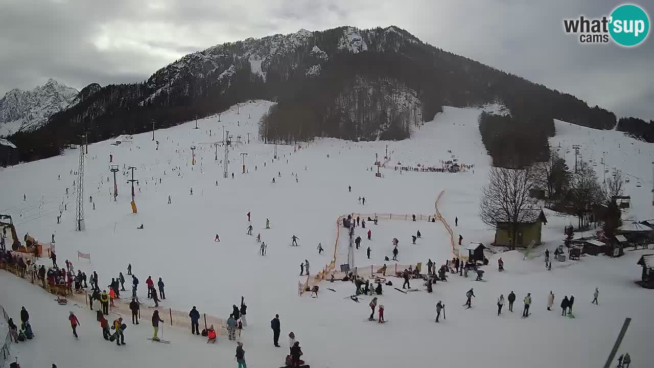 Kranjska Gora Slowenien webcam | Skigebiet Mojca – Rožle – Kekec