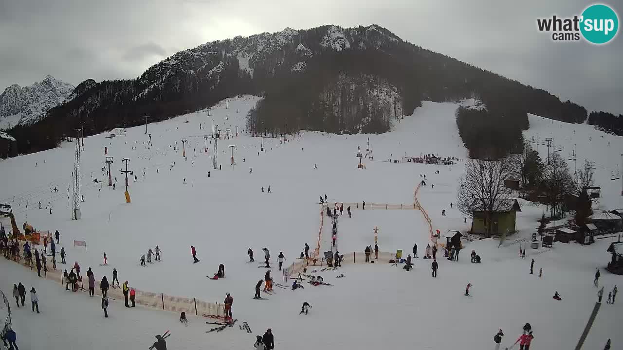 Kranjska Gora Slowenien webcam | Skigebiet Mojca – Rožle – Kekec