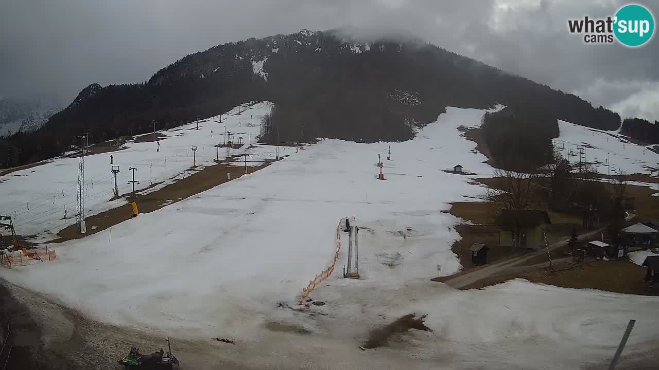 Meteo Kranjska Gora webcam | Piste da sci Kekec – Mojca – Rožle