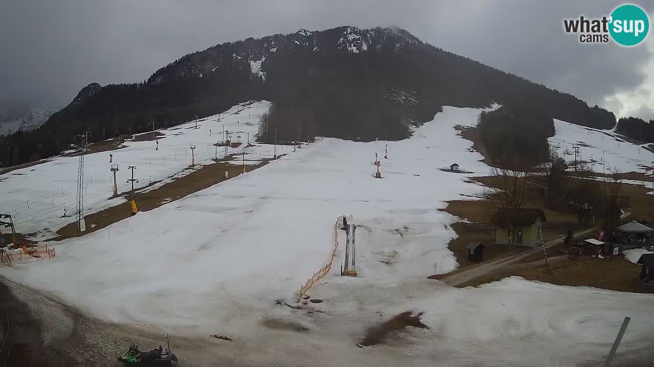 Meteo Kranjska Gora webcam | Piste da sci Kekec – Mojca – Rožle