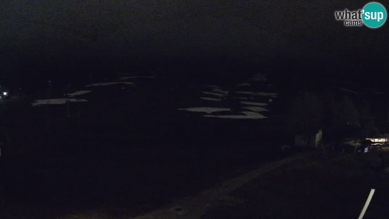 Meteo Kranjska Gora webcam | Piste da sci Kekec – Mojca – Rožle