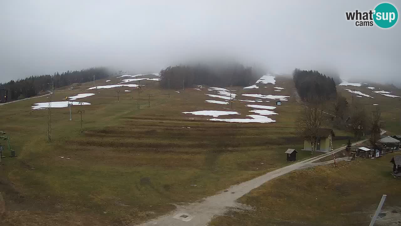 Meteo Kranjska Gora webcam | Piste da sci Kekec – Mojca – Rožle