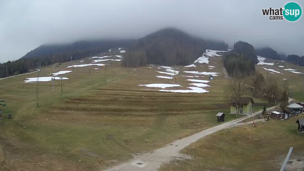 Kranjska Gora Slovénie webcam | Ski Mojca – Rožle – Kekec