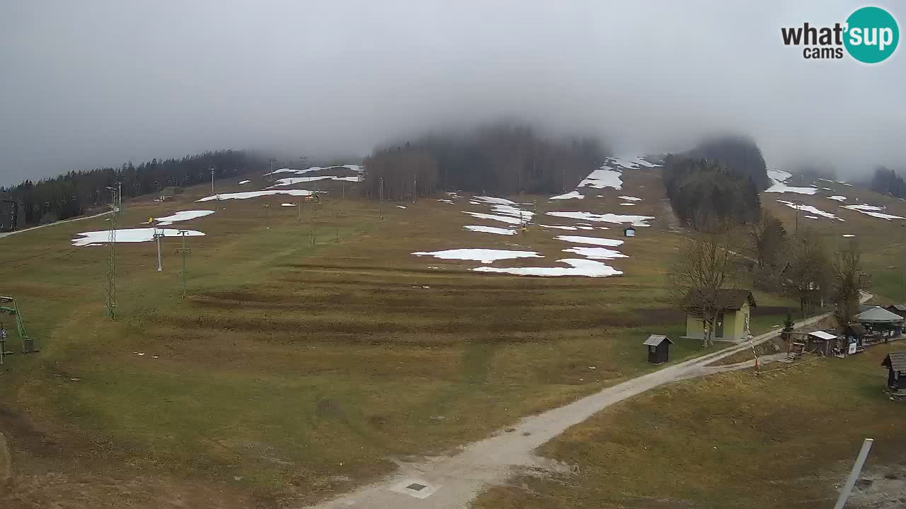 Kranjska Gora vrijeme webcam | Skijalište Mojca – Rožle – Kekec