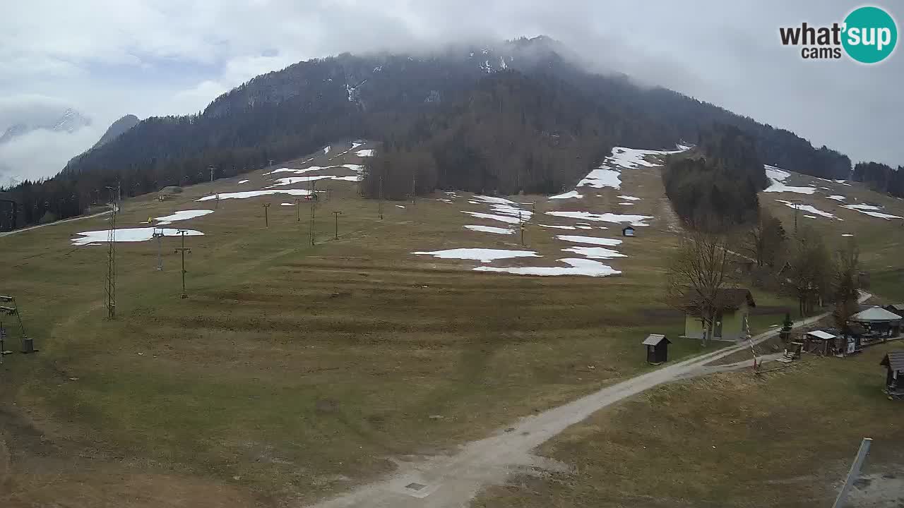 Kamera Kranjska Gora | Smučarska proga Kekec – Mojca – Rožle