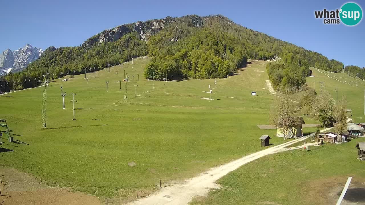 Meteo Kranjska Gora webcam | Piste da sci Kekec – Mojca – Rožle