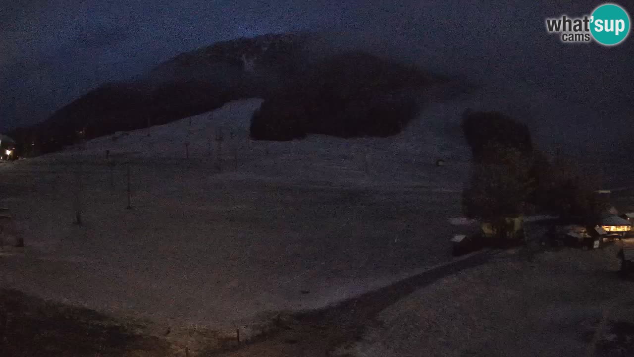 Meteo Kranjska Gora webcam | Piste da sci Kekec – Mojca – Rožle