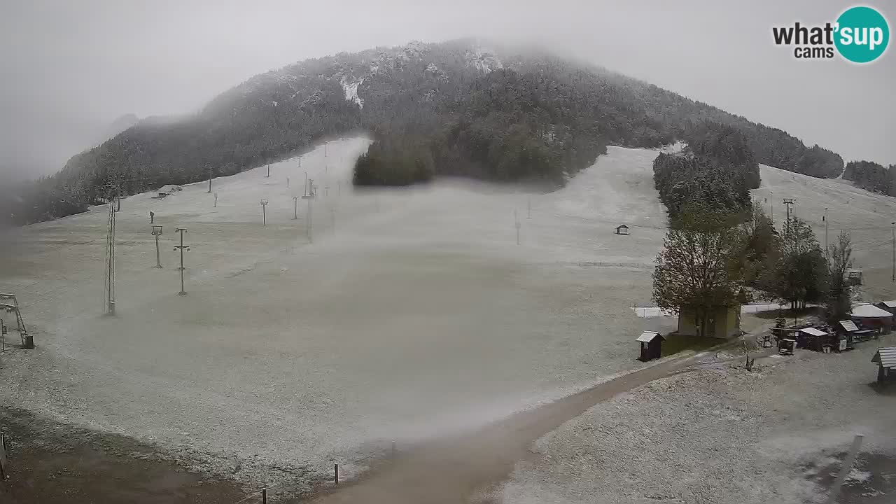 Kranjska Gora Slovénie webcam | Ski Mojca – Rožle – Kekec