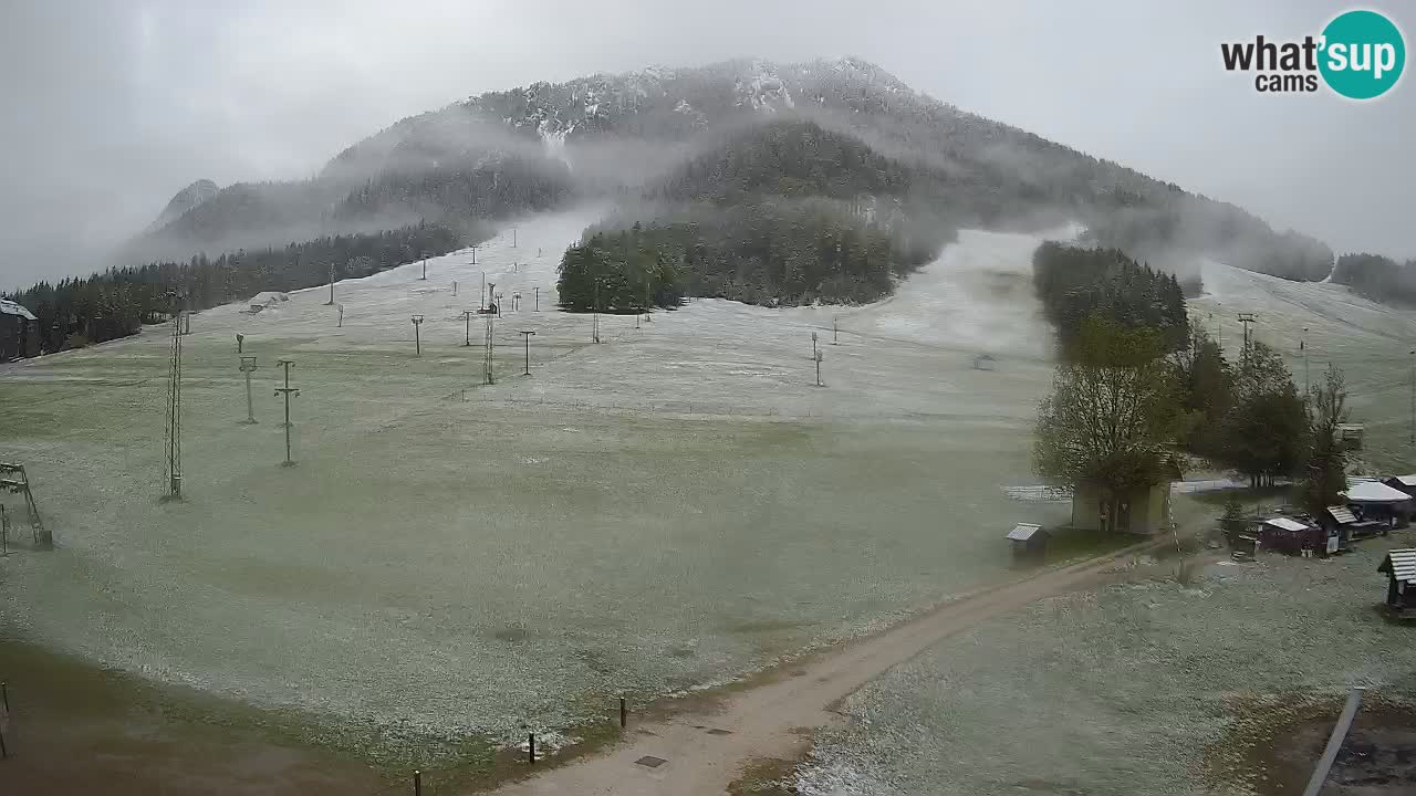Kranjska Gora vrijeme webcam | Skijalište Mojca – Rožle – Kekec