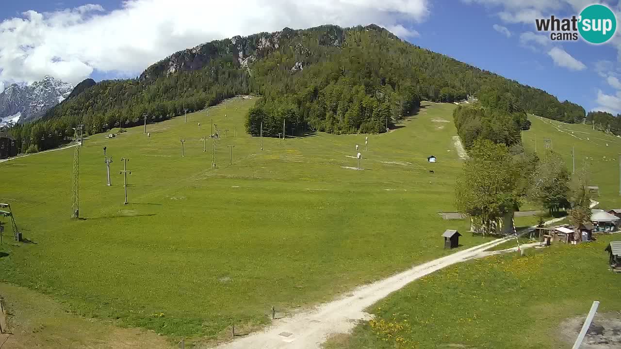 Meteo Kranjska Gora webcam | Piste da sci Kekec – Mojca – Rožle
