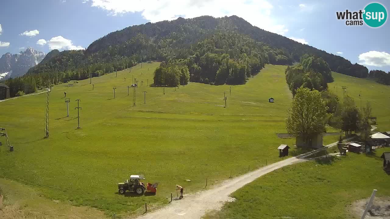 Meteo Kranjska Gora webcam | Piste da sci Kekec – Mojca – Rožle