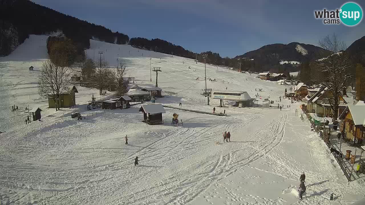 SKI Kranjska Gora webcam – Spiaggia – Piste Kekec e Mojca