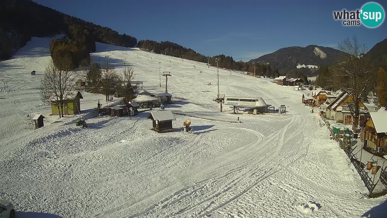 SKI Kranjska Gora webcam – Spiaggia – Piste Kekec e Mojca