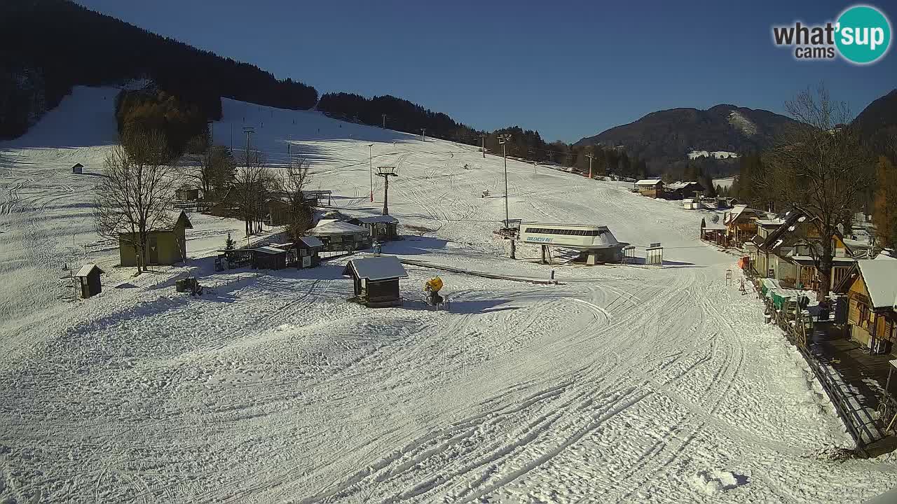 SKI Kranjska Gora webcam – Spiaggia – Piste Kekec e Mojca