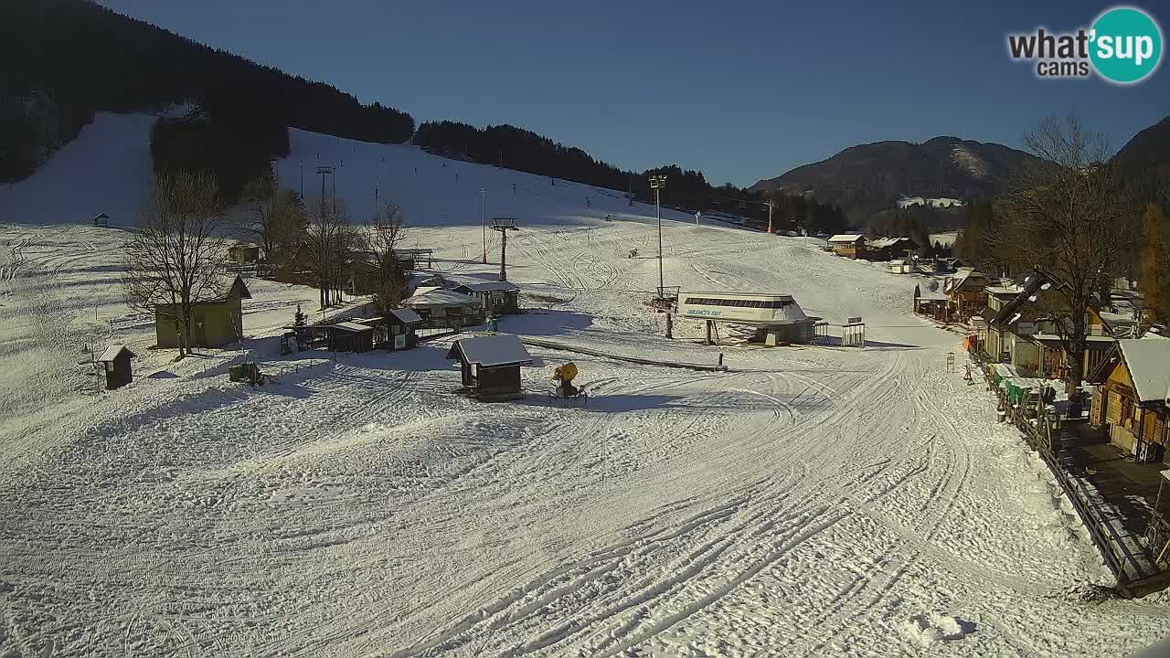 Webcam Kranjska Gora – Beach