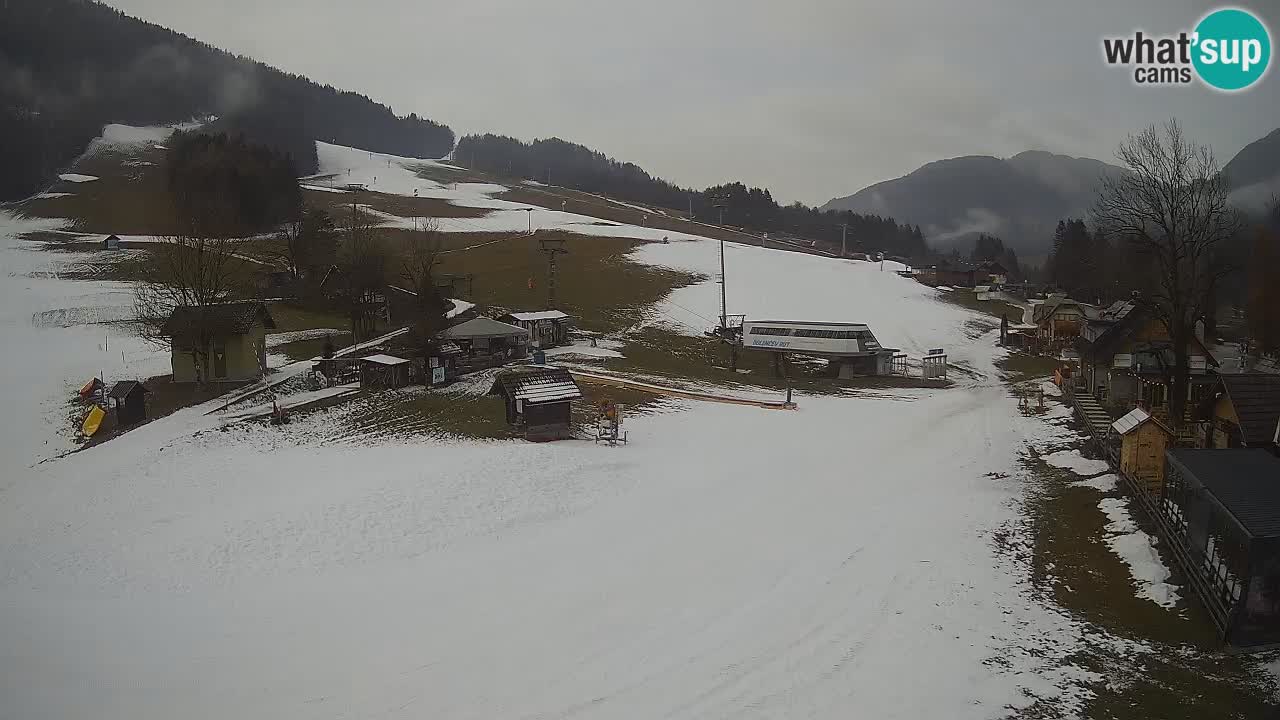 SKI Kranjska Gora webcam – Spiaggia – Piste Kekec e Mojca