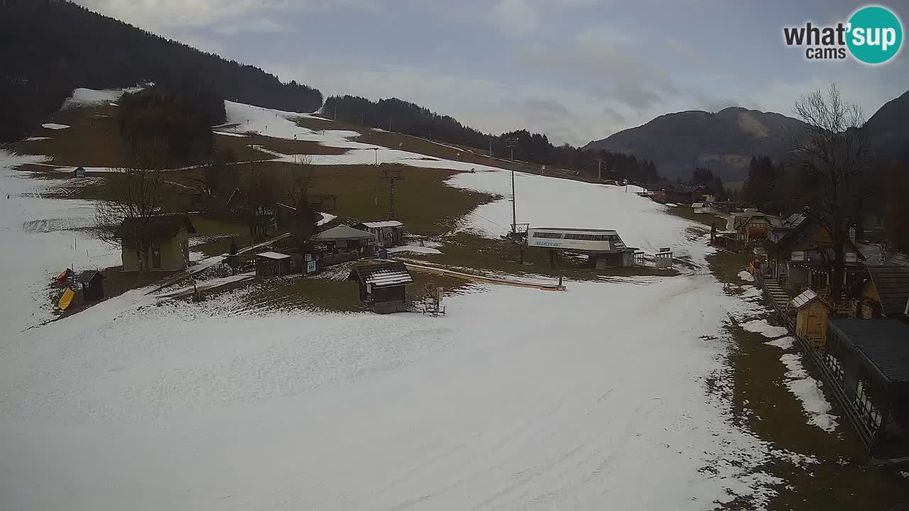 SKI Kranjska Gora webcam – Spiaggia – Piste Kekec e Mojca