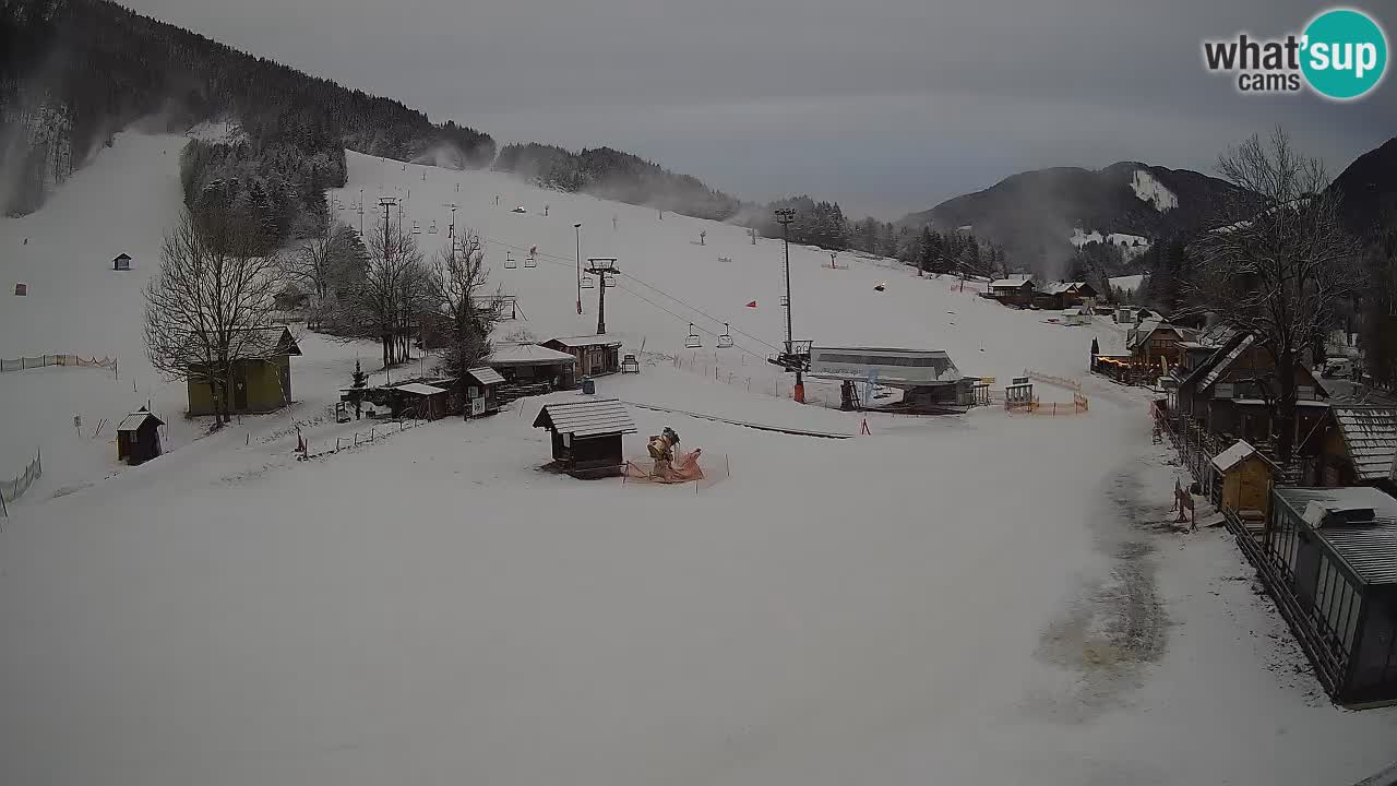 SKI Kranjska Gora webcam – Spiaggia – Piste Kekec e Mojca