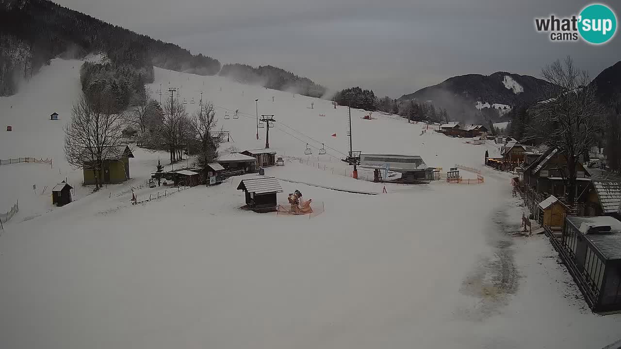 SKI Kranjska Gora webcam – Spiaggia – Piste Kekec e Mojca