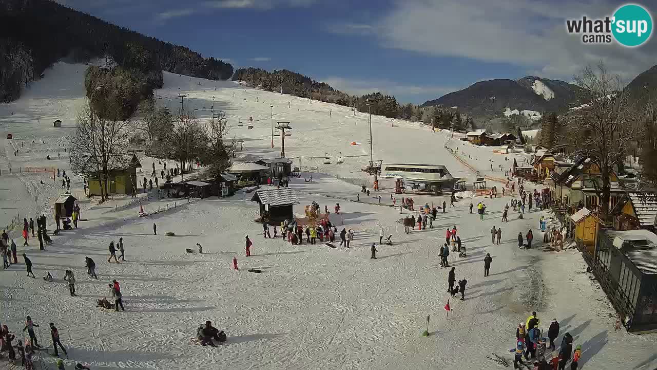 SKI Kranjska Gora webcam – Spiaggia – Piste Kekec e Mojca