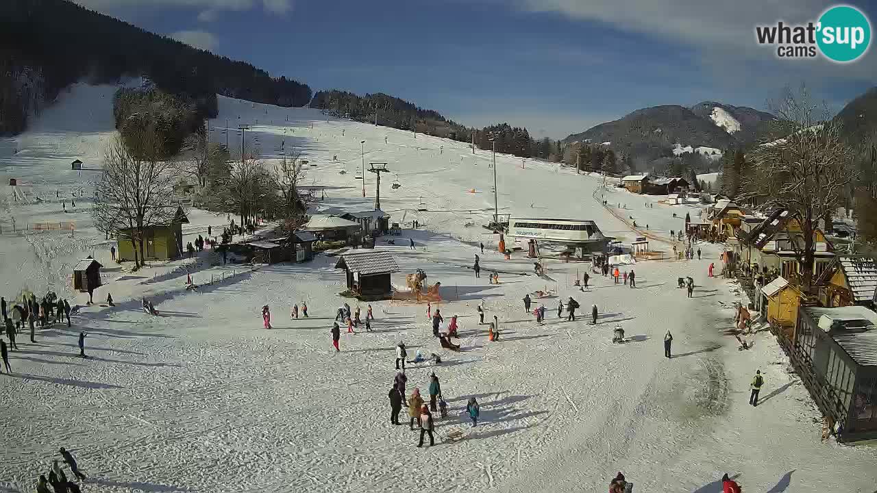 SKI Kranjska Gora webcam – Spiaggia – Piste Kekec e Mojca