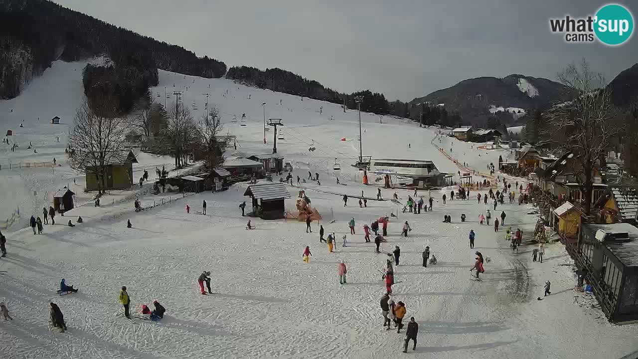 SKI Kranjska Gora webcam – Spiaggia – Piste Kekec e Mojca