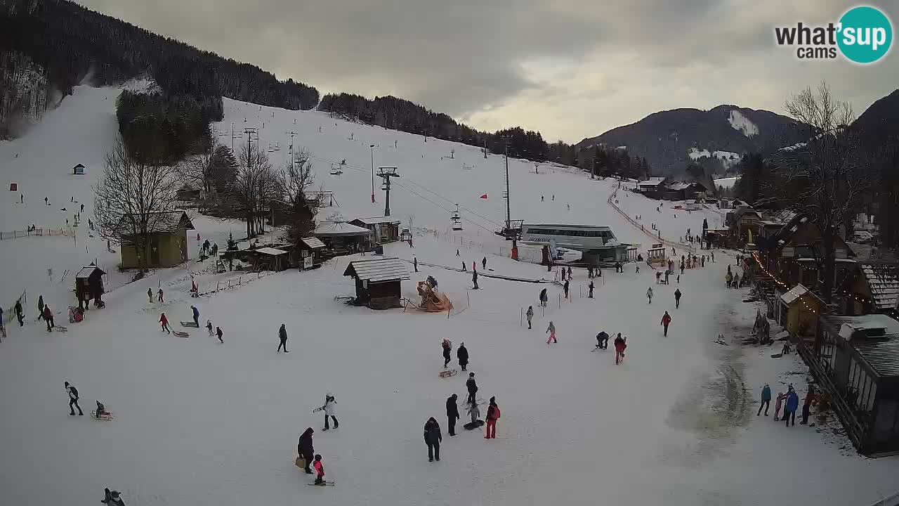 SKI Kranjska Gora webcam – Spiaggia – Piste Kekec e Mojca