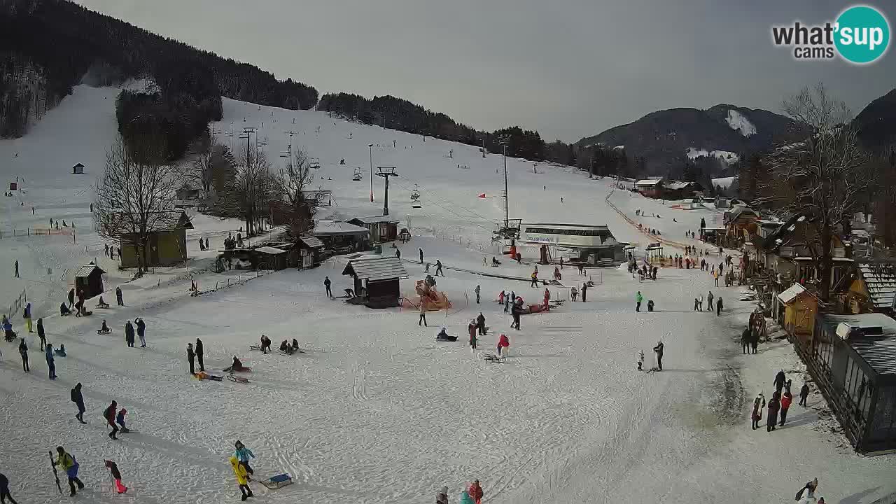 SKI Kranjska Gora webcam – Spiaggia – Piste Kekec e Mojca