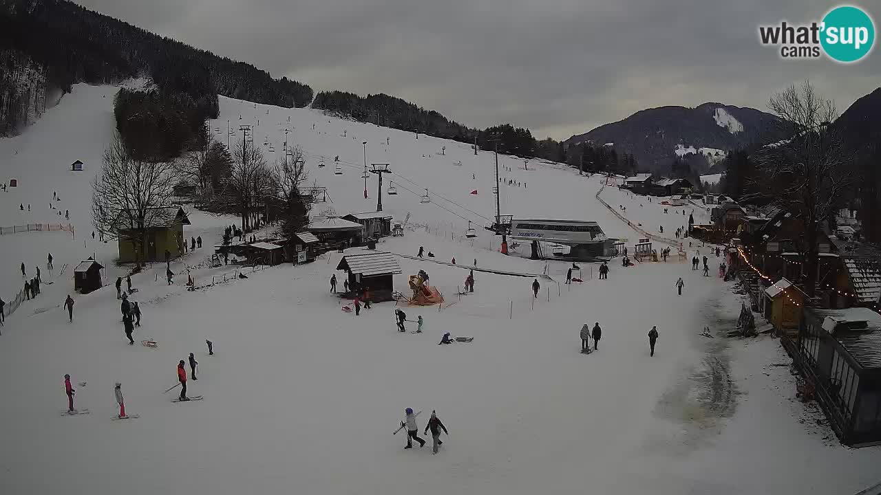 SKI Kranjska Gora webcam – Spiaggia – Piste Kekec e Mojca