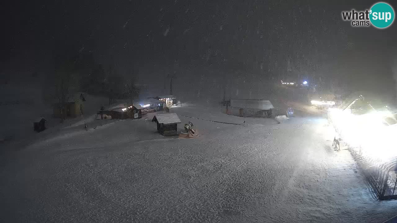 SKI Kranjska Gora webcam – Spiaggia – Piste Kekec e Mojca