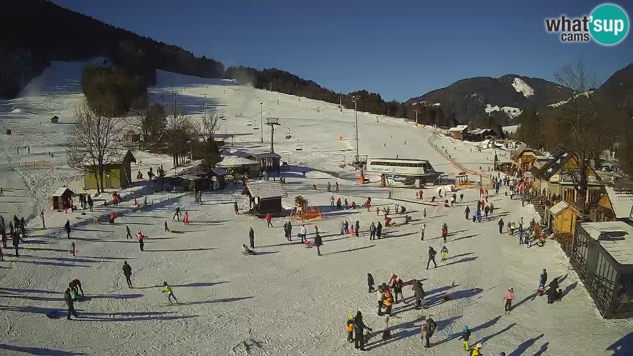 SKI Kranjska Gora webcam – Spiaggia – Piste Kekec e Mojca