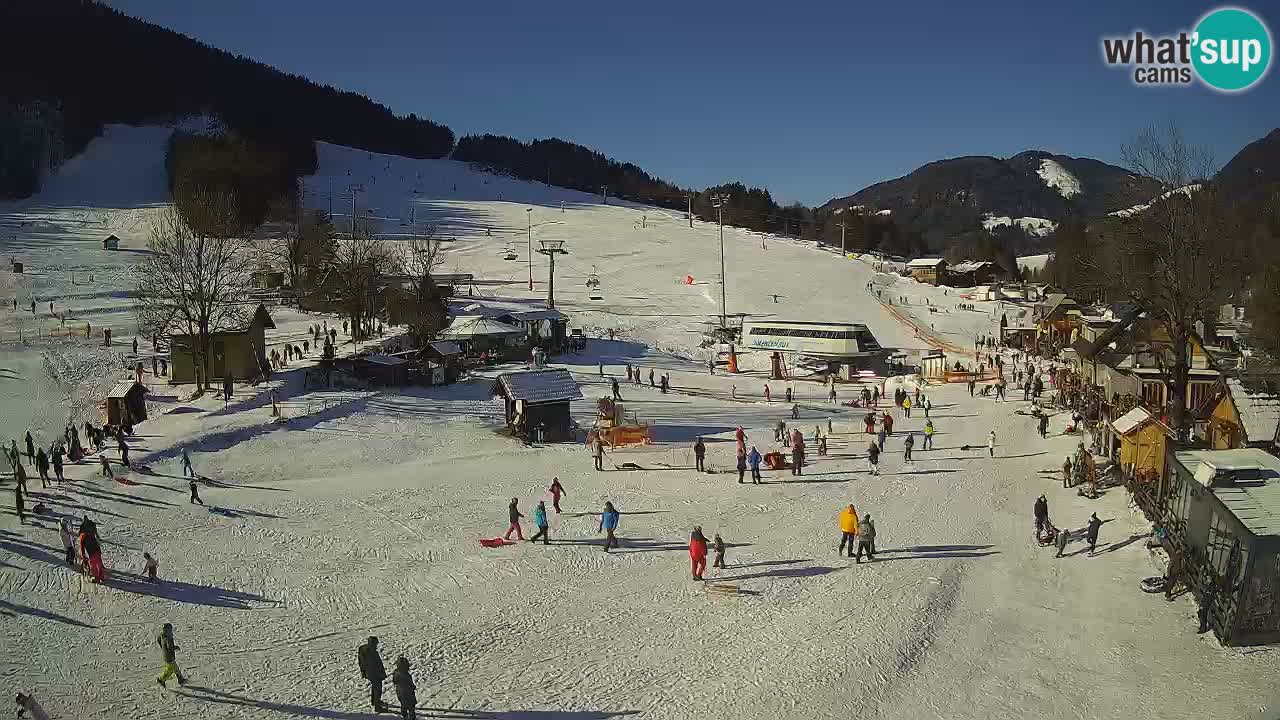 SKI Kranjska Gora webcam – Spiaggia – Piste Kekec e Mojca