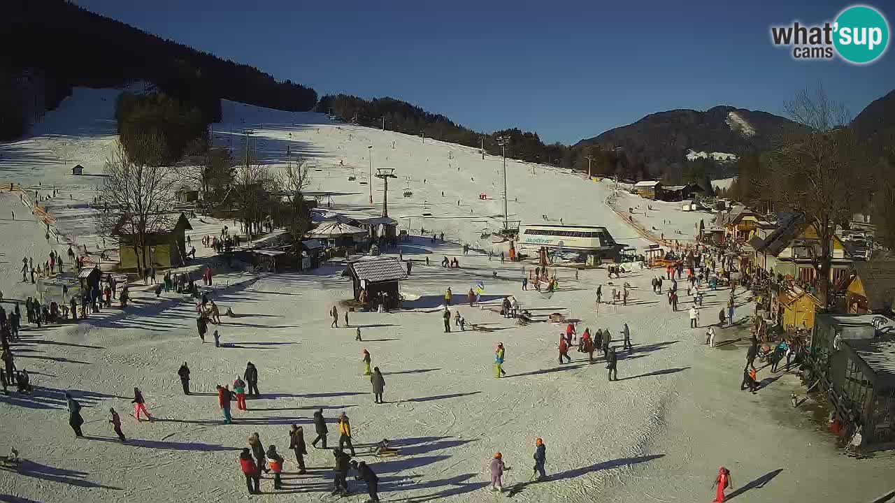 SKI Kranjska Gora webcam – Spiaggia – Piste Kekec e Mojca