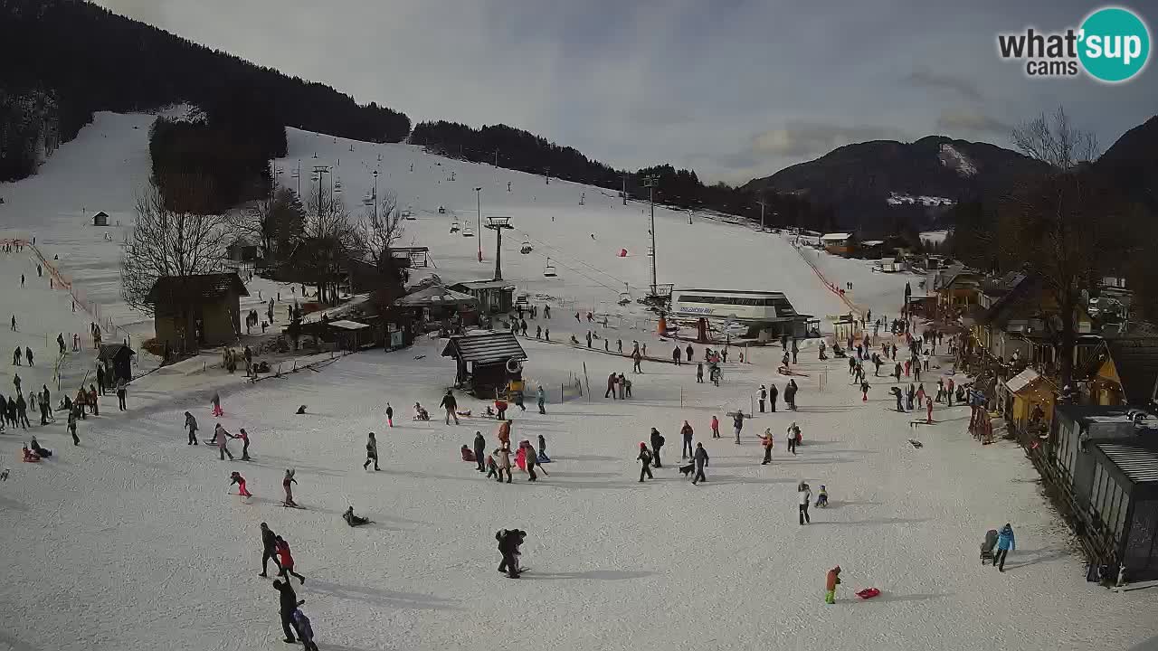 SKI Kranjska Gora webcam – Spiaggia – Piste Kekec e Mojca