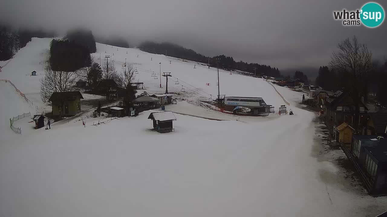 SKI Kranjska Gora webcam – Spiaggia – Piste Kekec e Mojca