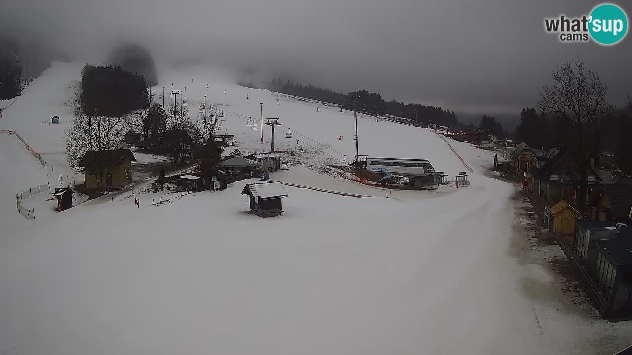 SKI Kranjska Gora webcam – Spiaggia – Piste Kekec e Mojca