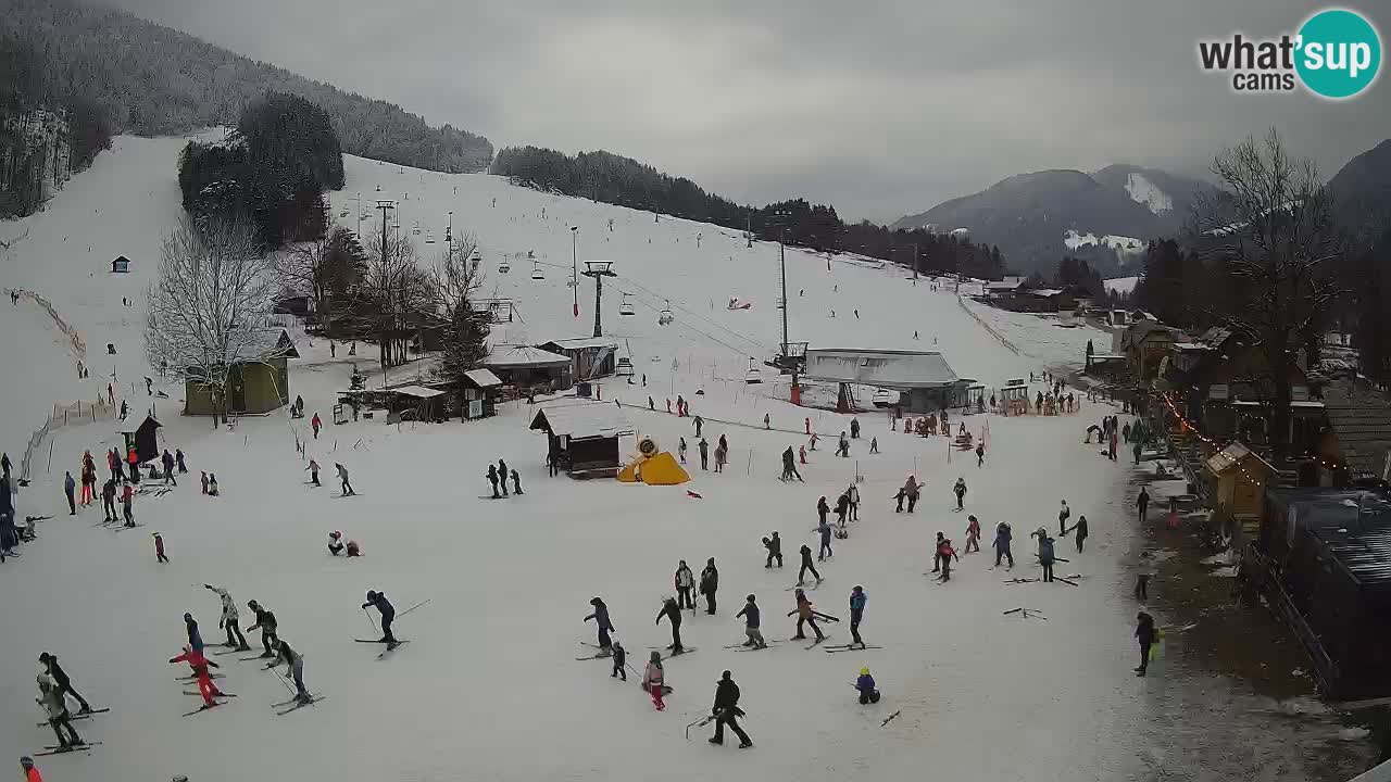 SKI Kranjska Gora webcam – Spiaggia – Piste Kekec e Mojca