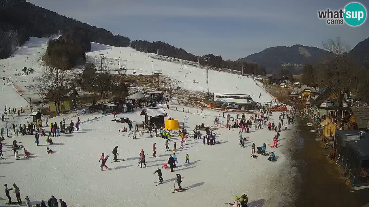 SKI Kranjska Gora webcam – Spiaggia – Piste Kekec e Mojca