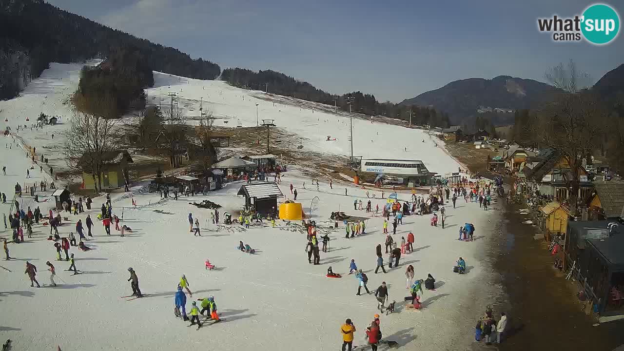 Kranjska Gora webcam Beach