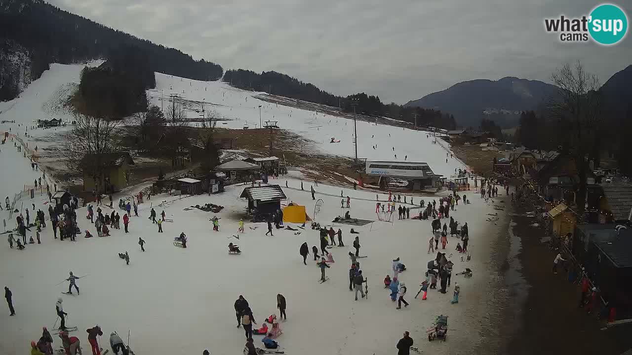 SKI Kranjska Gora webcam – Spiaggia – Piste Kekec e Mojca