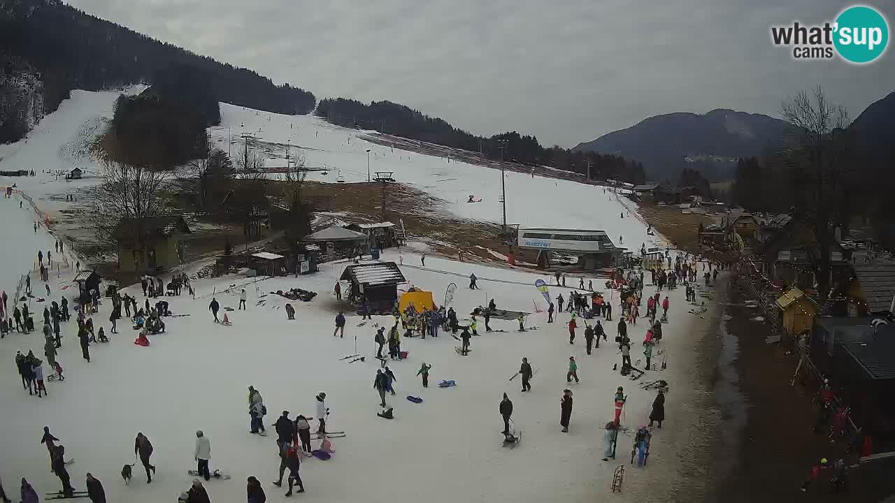 SKI Kranjska Gora webcam – Spiaggia – Piste Kekec e Mojca