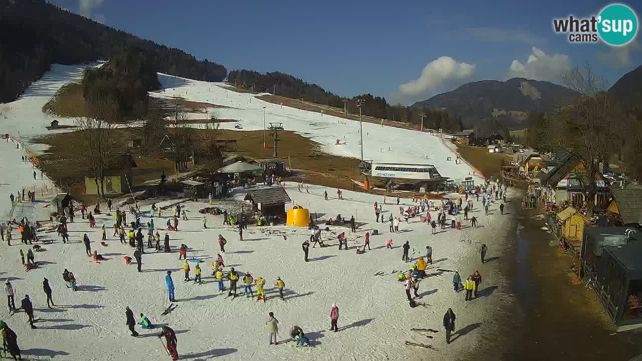 SKI Kranjska Gora webcam – Spiaggia – Piste Kekec e Mojca