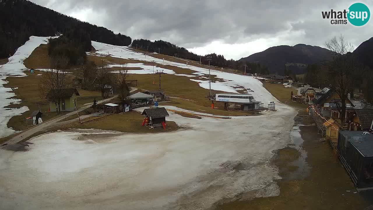 SKI Kranjska Gora webcam – Spiaggia – Piste Kekec e Mojca