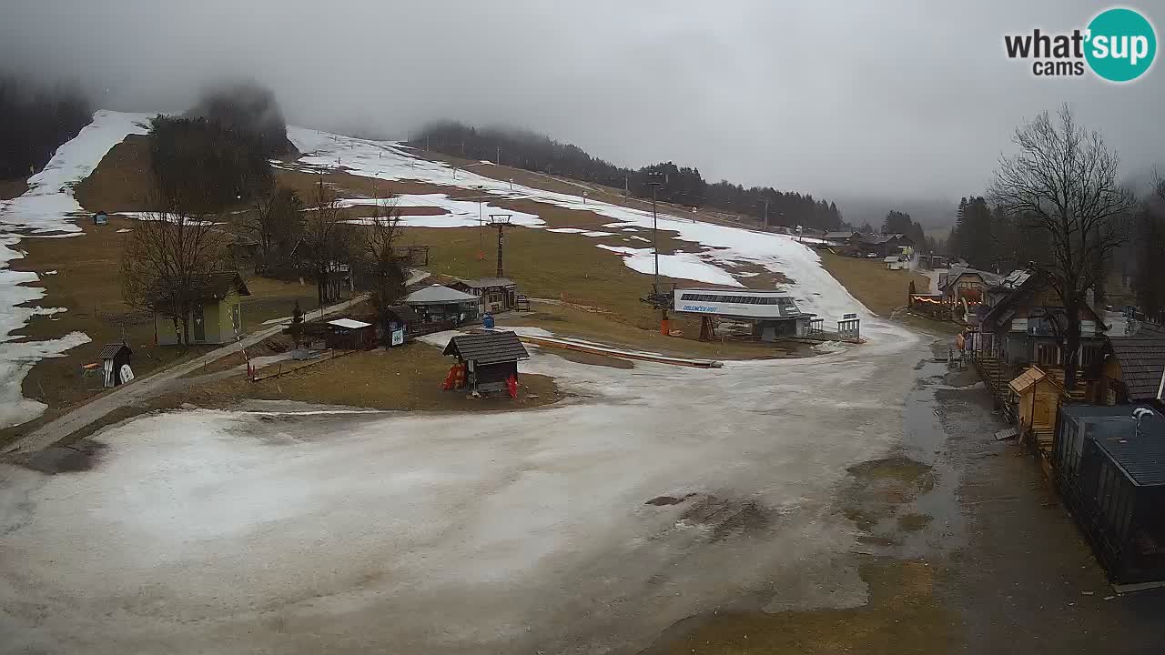 SKI Kranjska Gora webcam – Spiaggia – Piste Kekec e Mojca