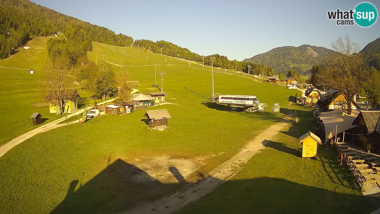 SKI Kranjska Gora webcam – Spiaggia – Piste Kekec e Mojca