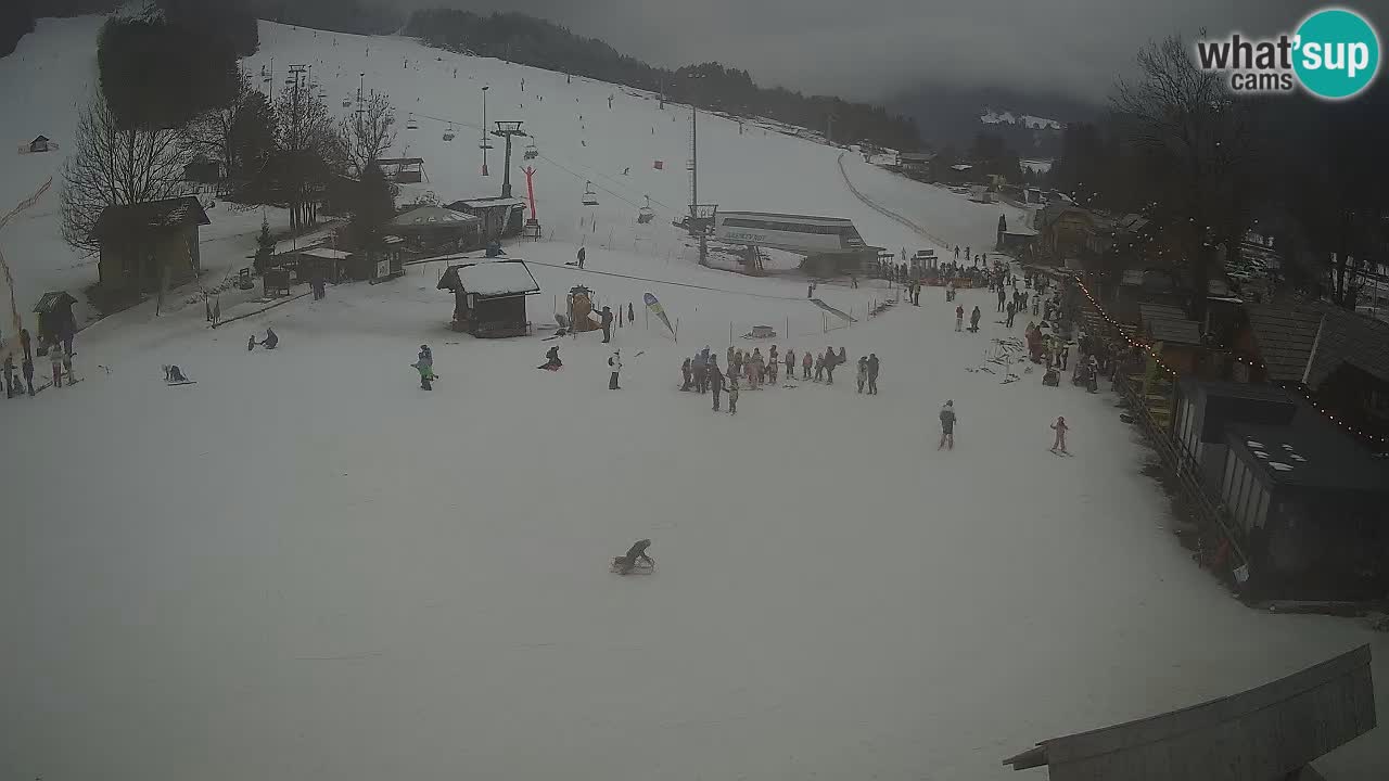 Webcam Kranjska Gora – Beach