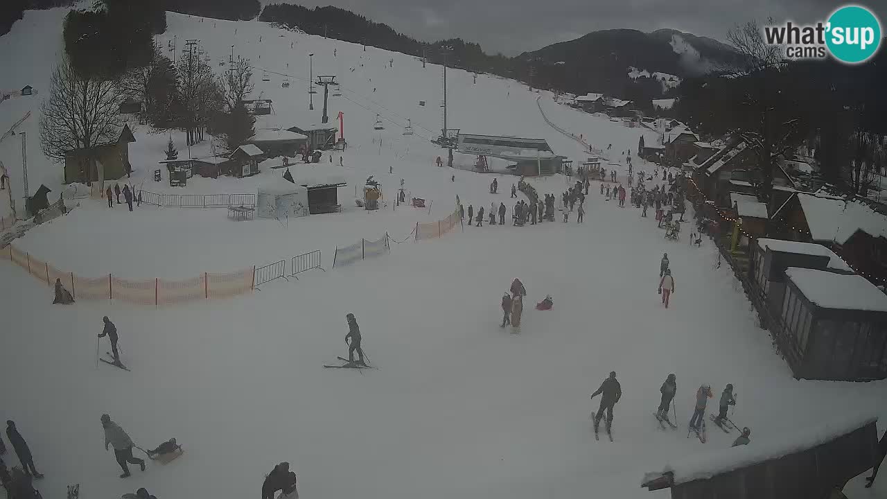 Webcam Kranjska Gora – Beach